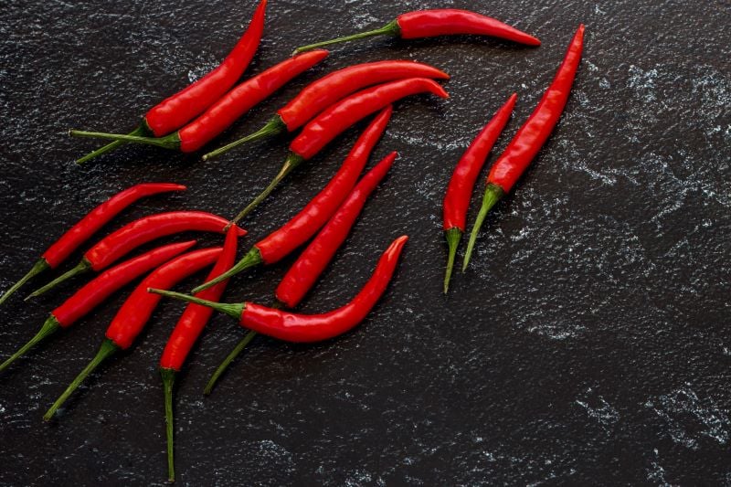 hot-chilli-pepper-layout-on-a-dark-background-co-2022-10-31-08-03-54-utc